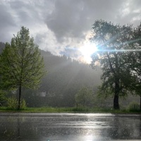 Distress - Single - phil60