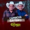 Capricha Gaiteiro - Os Gargantas De Ouro lyrics
