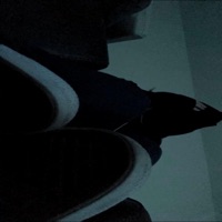 L O L ^.^ - Single - Horrormovies