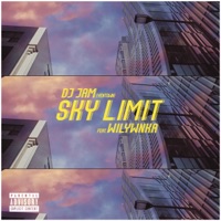 Sky Limit (feat. Wilywnka) - Single - DJ JAM