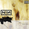 Dead Souls (From "The Crow" Soundtrack) - Nine Inch Nails