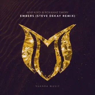 Embers (Steve Dekay Remix) by Adip Kiyoi & Roxanne Emery song reviws