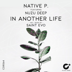 In Another Life (feat. Nuzu Deep) - Single