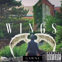 Wings - Gawne