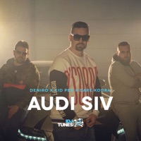 Audi Siv (feat. Kid Pex & Dare Kodra) - Single - Deniro