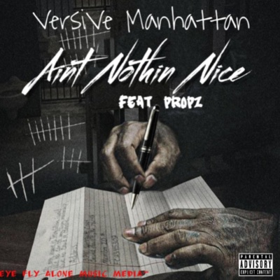 Aint Nothin Nice (A.N.N) (feat. Propz) - Single