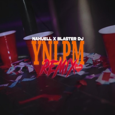 YNLPM (Remix fiestero) [Remix fiestero] - Single