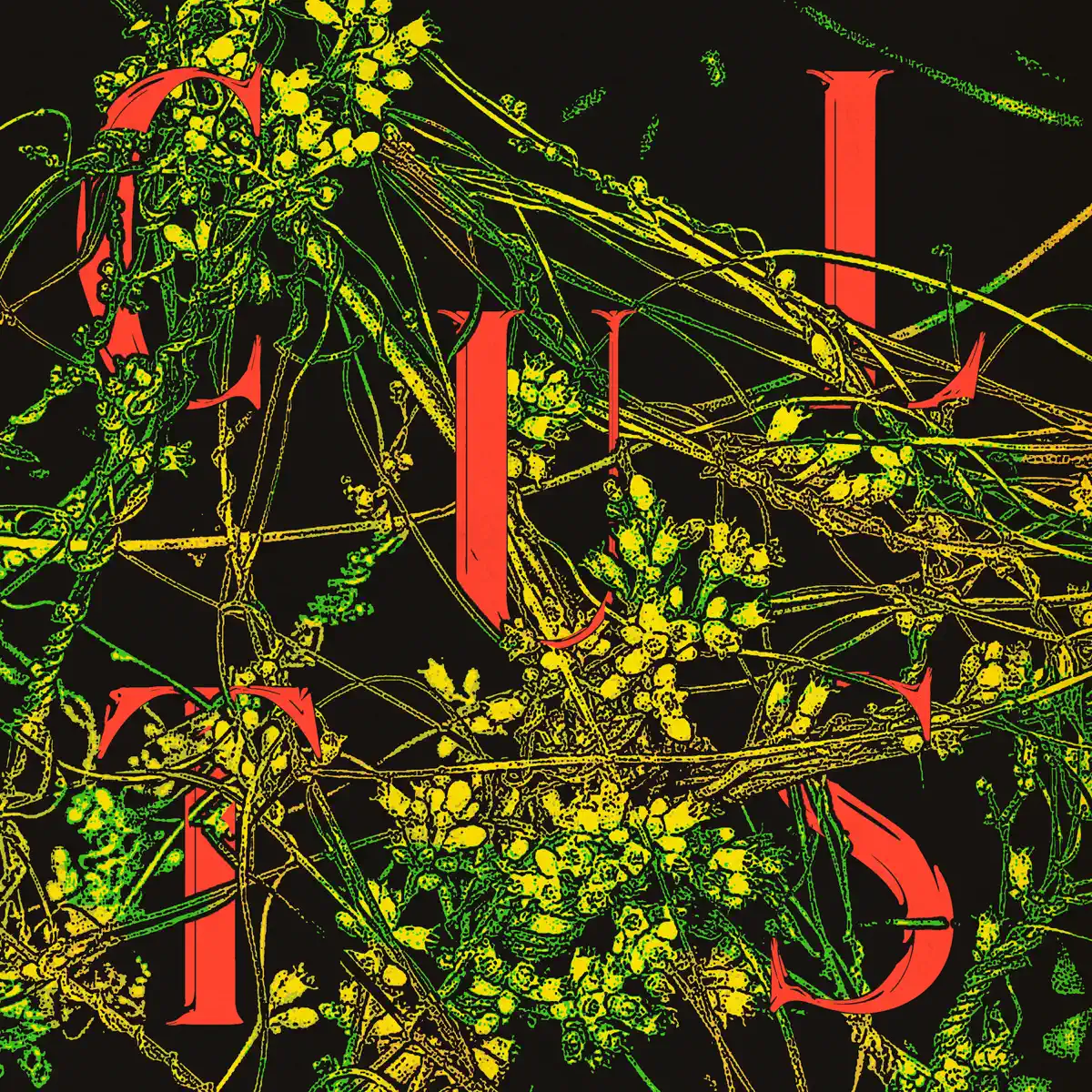 Cults - Host (2020) [iTunes Plus AAC M4A]-新房子