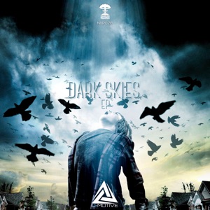 Dark Skies - EP