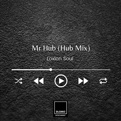 Mr Hub (Hub Mix) - Single