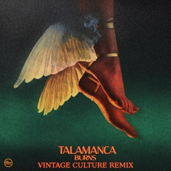 BURNS - Talamanca