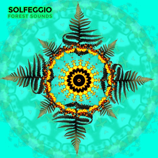 Solfeggio Forest Sounds - Single