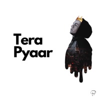 Tera Pyaar - Single - Qzer