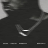 Misunderstood - EP (feat. Widgunz) artwork