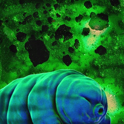 Tardigrade - Single