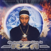 The World According to RZA - Various Artists