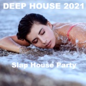 Slap House Party artwork