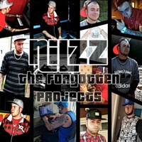 The Forgotten Projects - Nilzz