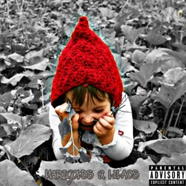 Perfect (Outro) ChainStoreCollective & Nome