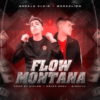 Flow montaña (feat. Merxelion) - Single - Gerald klein