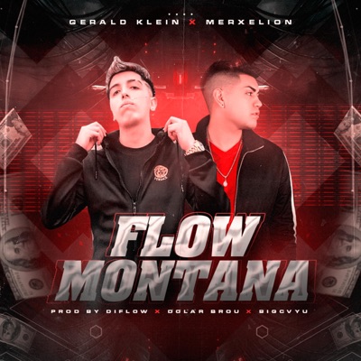 Flow montaña (feat. Merxelion) - Single