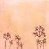 For Forests