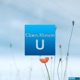 U Single