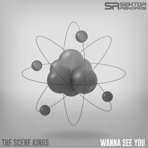 Wanna See You - Single