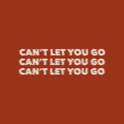 Can't Let You Go (feat. Bluesworld Music) - Single