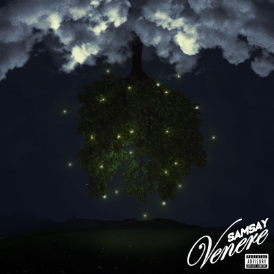 Venere (feat. Scriba e Sox) - Single