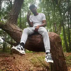 DOZを聴いたり、ミュージックビデオを鑑賞したり、経歴やツアー日程などを確認したりしましょう！