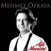 Gönlü Güvercinli Kadın