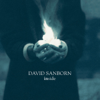 Daydreaming - David Sanborn