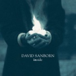 David Sanborn - Ain't No Sunshine