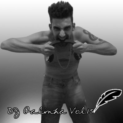DJ Galinha Vol 15 (Album)