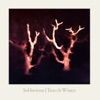 Sawney Bean