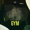 30 Temas Ejercicio y Gym 2021 - Various Artists