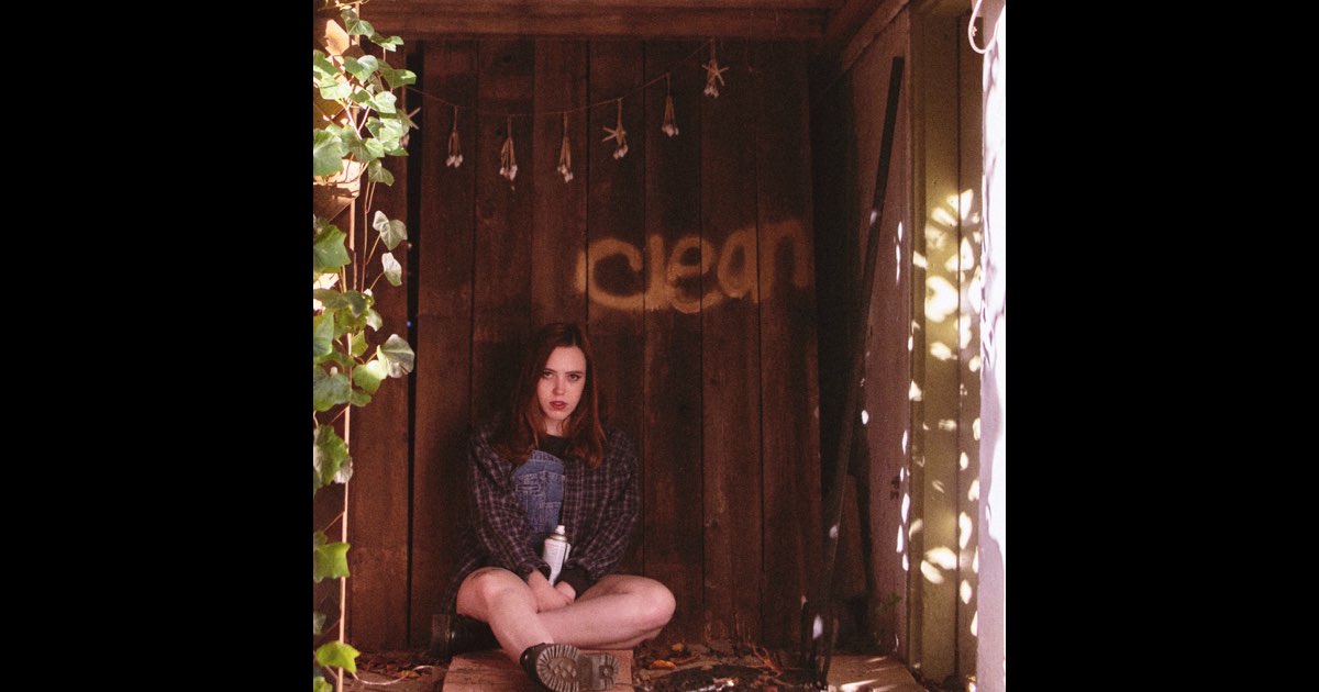 【500枚限定】SOCCER MOMMY / CLEAN 91GrsscrVvL._UF1000,1000_QL80_.jpg