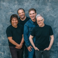 The Rubinoos
