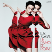 Un Ramo de Rosas cover