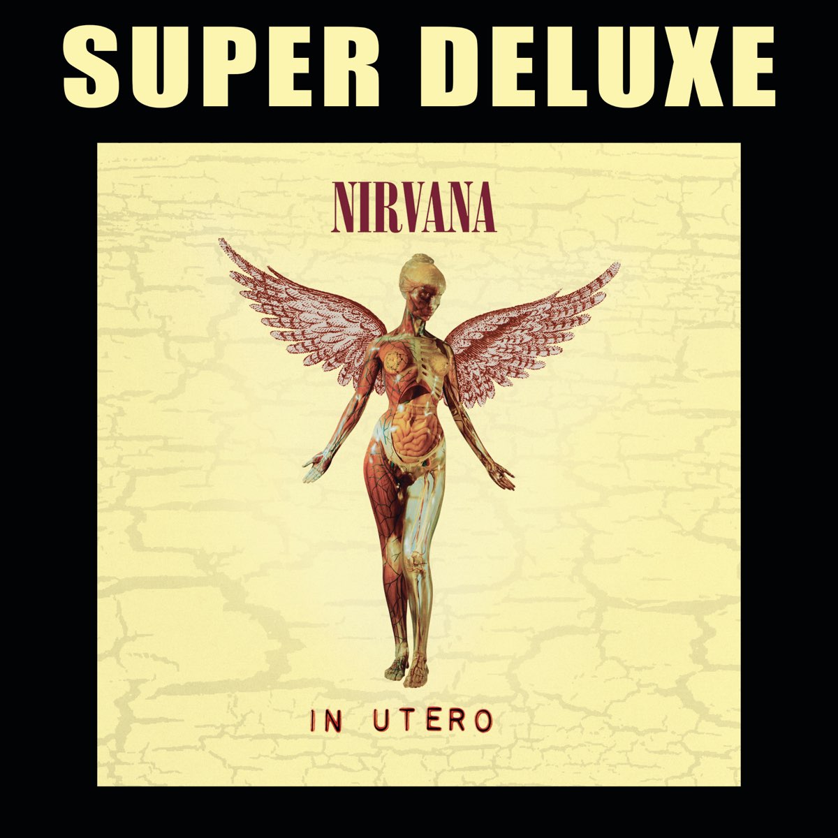 In Utero (20th Anniversary Super Deluxe Edition) - Album by 