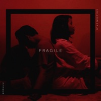 Fragile (feat. Colleen Lalo) - Single - Borhuh