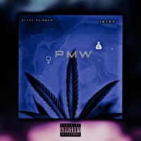 PMW (feat. JNTRZ) - Single - BLVCK RAINBOW