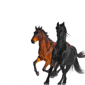 Old Town Road (feat. Billy Ray Cyrus) [Remix] - Lil Nas X Cover Art