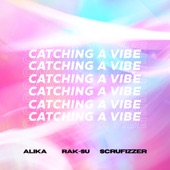 Catching a Vibe artwork