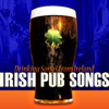 I'm Shipping up to Boston (From "Rizzoli & Isles") [Instrumental Version] - The Irish Travelers