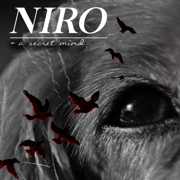 A Secret Mind - EP - Niro