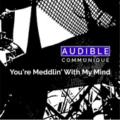 You're Meddlin' With My Mind artwork