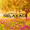 Relaxace Pro Uvolnění Stresu - Dr. Jakub Tencl