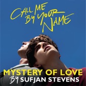 Sufjan Stevens - Mystery of Love (From "Call Me By Your Name")